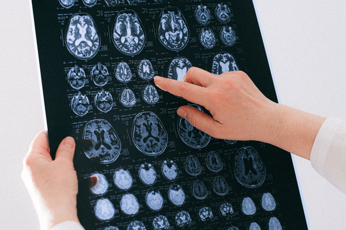neuro cognitive practice economics